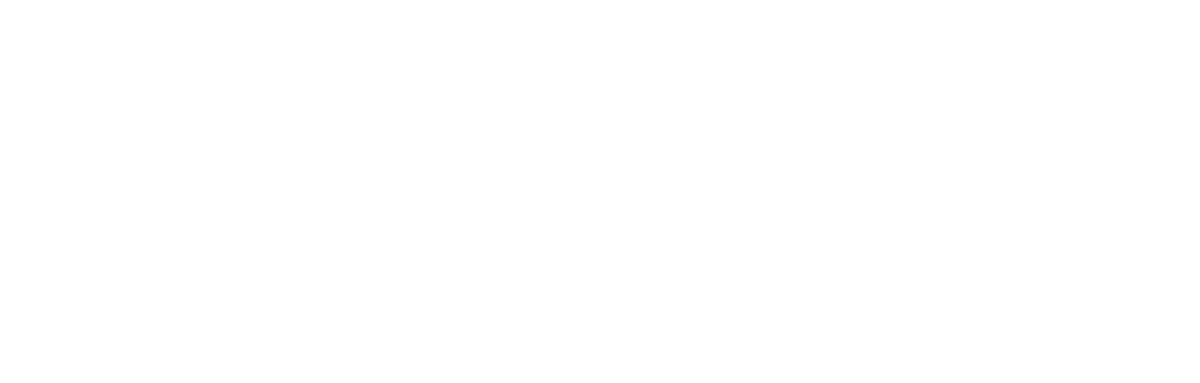 Undercoveroperator